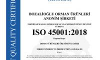 ISO 45001