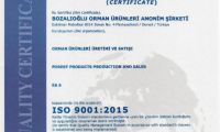 ISO-9001